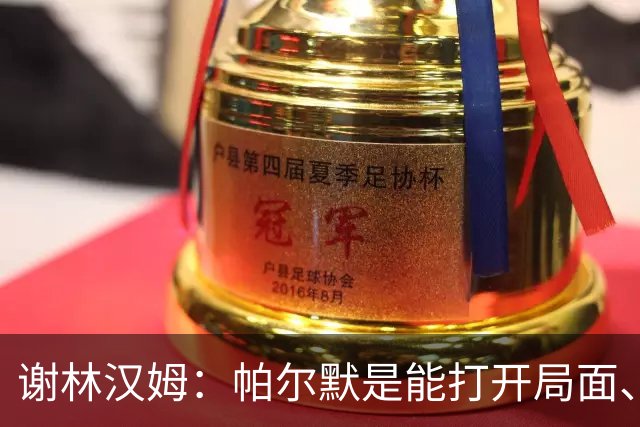 谢林汉姆：帕尔默是能打开局面、有灵性的球员 我会选他去世界杯